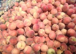 小豪娱乐吃瓜,揭秘娱乐圈最新吃瓜事件