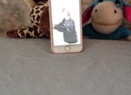 吃瓜娱乐的喵,喵星人的吃瓜娱乐大揭秘