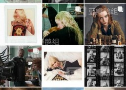 吃瓜鹅明星娱乐,揭秘娱乐圈幕后故事