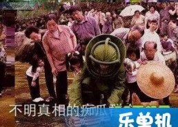 吃瓜群众是什么意思由来,一词背后的社会变迁与网络文化现象