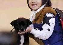 娱乐吃瓜酱岳父,娱乐吃瓜酱岳父的温馨瞬间