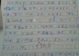 娱乐吃瓜酱小学生作文,小学生眼中的娱乐圈风云