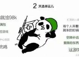 瓜哥娱乐吃鸡视频大全集