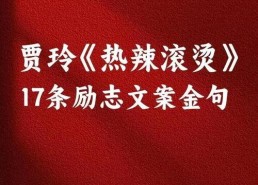 娱乐吃瓜酱励志文案,从娱乐八卦中汲取正能量