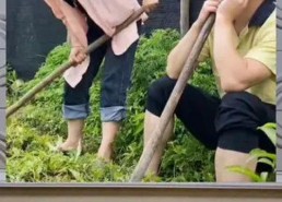 娱乐八卦一定是吃瓜群众的吗,揭秘吃瓜群众的狂欢盛宴