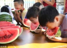 趣味吃瓜大比拼,一场舌尖上的狂欢盛宴