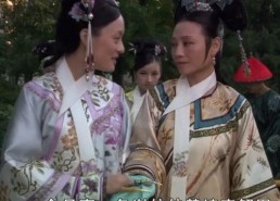 娱乐吃瓜酱皇上太医小说,皇上太医的娱乐吃瓜日常